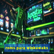 roms para winkawaks